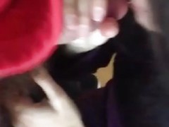 Whore Wife Sucking My Cock Daily