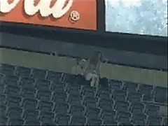 Stadium Sex Ground Sex
