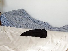 Cumming On Wifes Black Panty