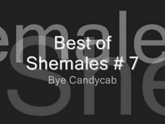 Best Of Shemales # 7