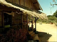 Dick From Every Direction